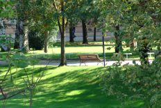 Fotografia-Parc d’accés a l’Hospital Universitari Arnau de Vilanova