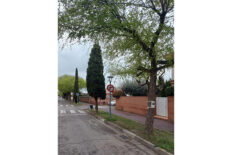 Fotografia-Urbanització Vila Montcada