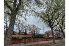 Fotografia-Urbanització Vila Montcada
